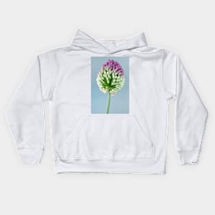 Allium sphaerocephalon AGM Round-headed garlic Round-headed leek Kids Hoodie